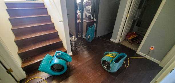 Best Flood damage cleanup  in Rialto, CA