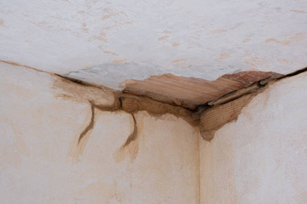 Best Fire Damage Restoration  in Rialto, CA