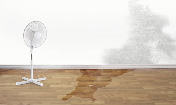 Best Sewage cleanup and water damage restoration  in Rialto, CA