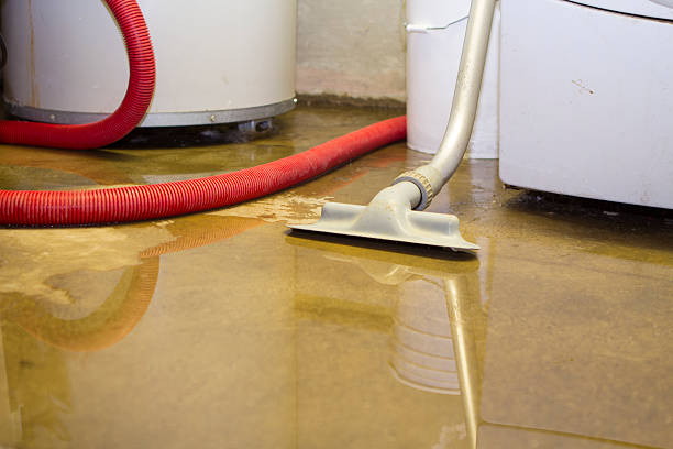 Best Water damage repair service  in Rialto, CA