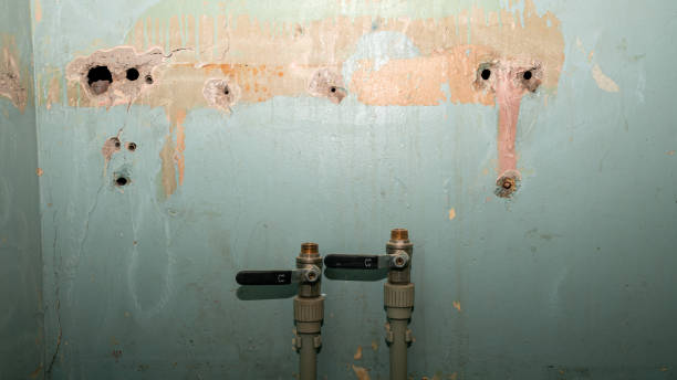 Best Carpet water damage restoration  in Rialto, CA