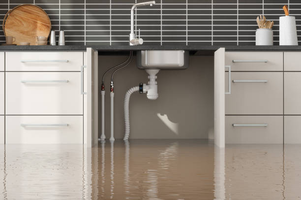 Best Professional water damage repair  in Rialto, CA