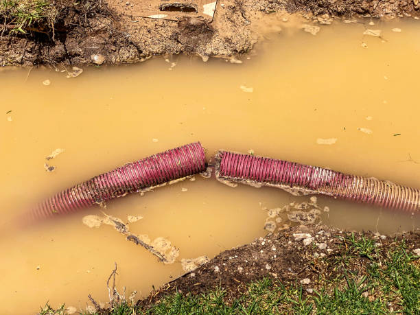 Best Water damage restoration services  in Rialto, CA