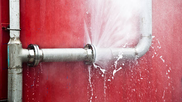 Best Flood damage cleanup  in Rialto, CA